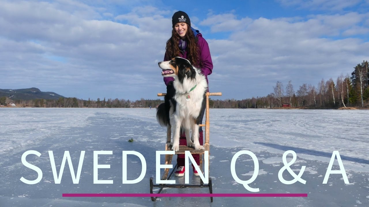 Why Did I Move To Sweden? Q & A