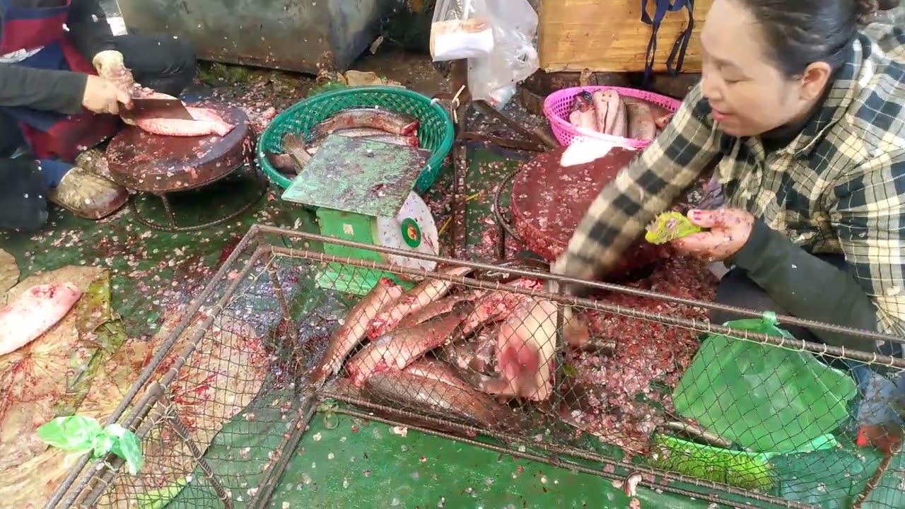 Amazing! fish cutting competition, Boeug chhouk Market, 20kg #aseanfish