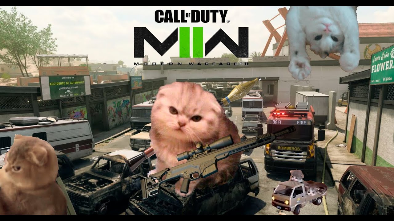 MW2 CAT MONTAGE.exe