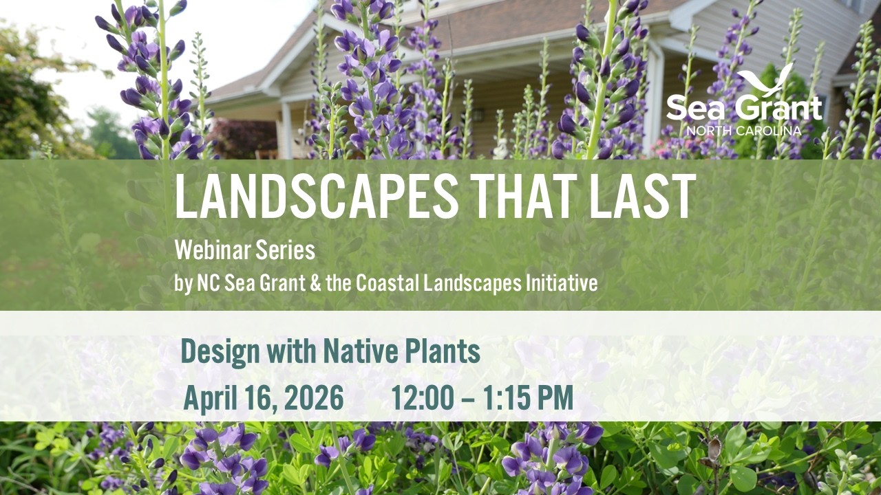 Landscapes That Last &ndash; Design with Native Plants