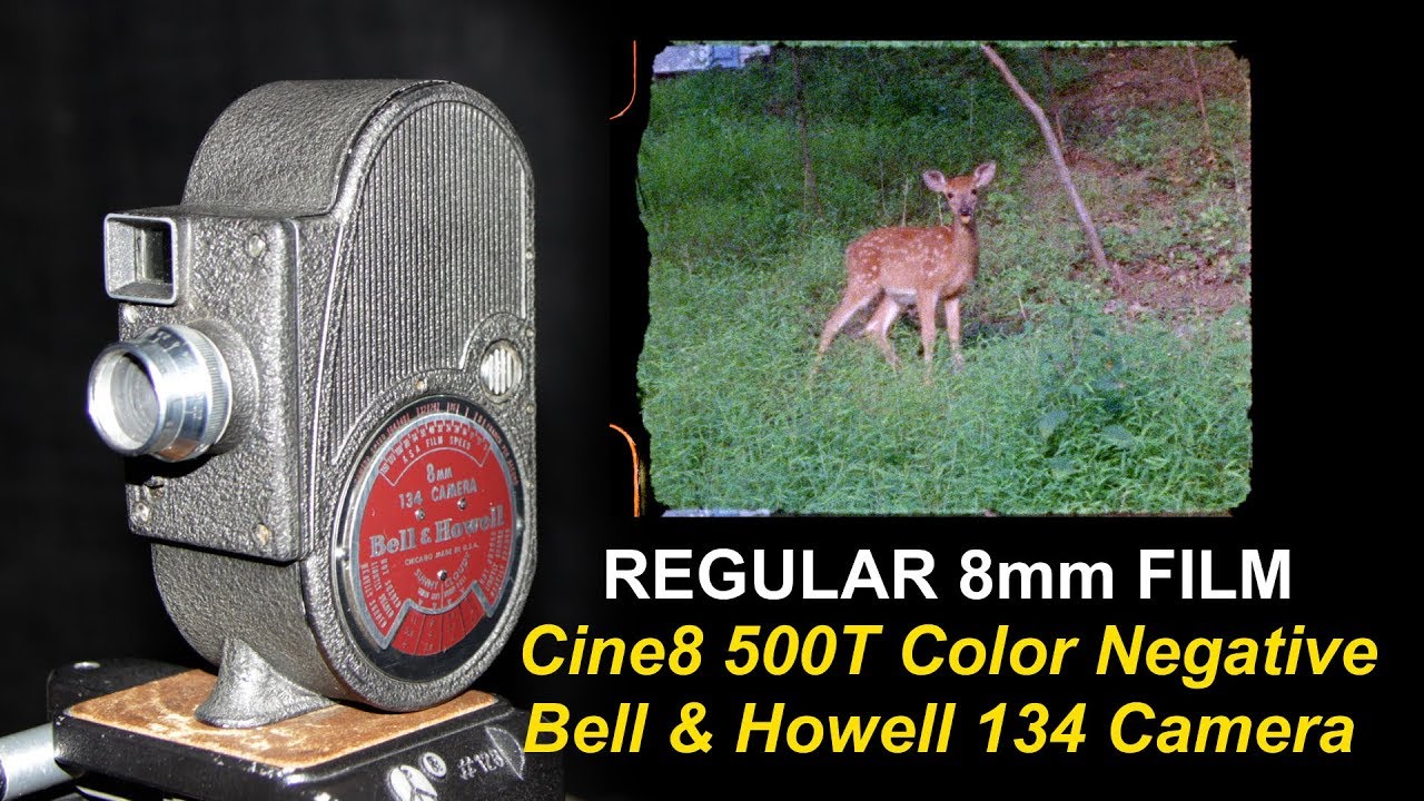 Regular 8mm Film - Cine8 500T Color Negative / B&H 134 Camera