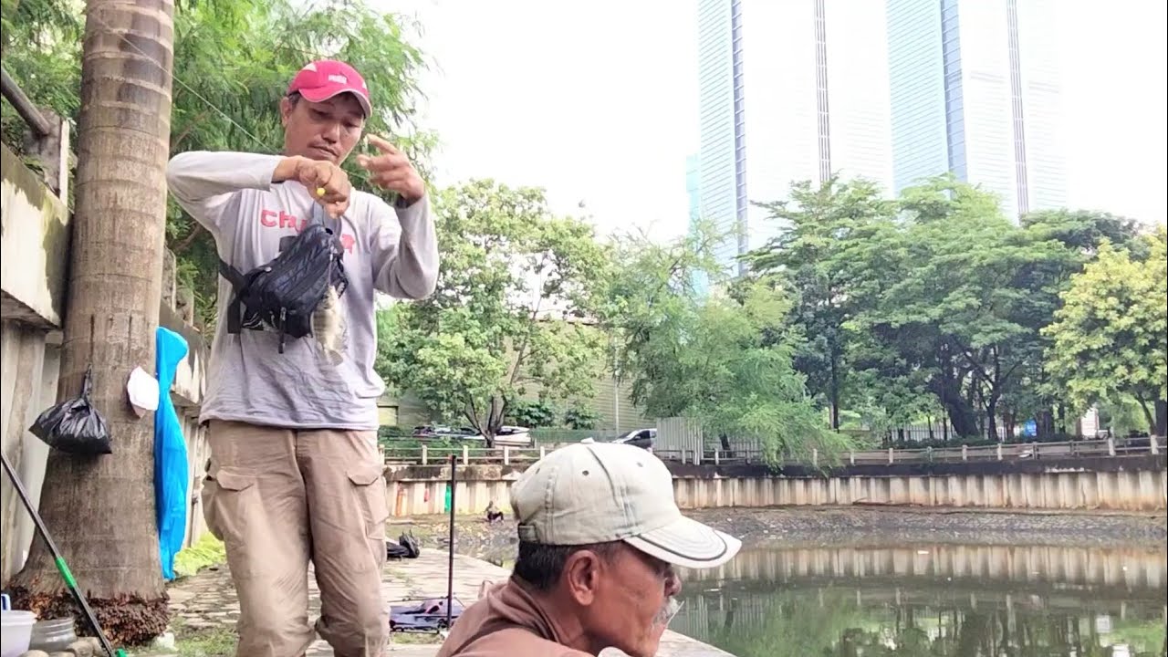 Mancing Nol Rupiah Di Jakarta, Umpan Lumut & Pelet Bagus Disini 