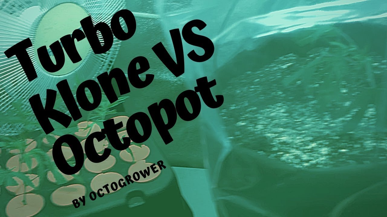 Turbo Klone VS Octopot Must See!!!! By Octogrower