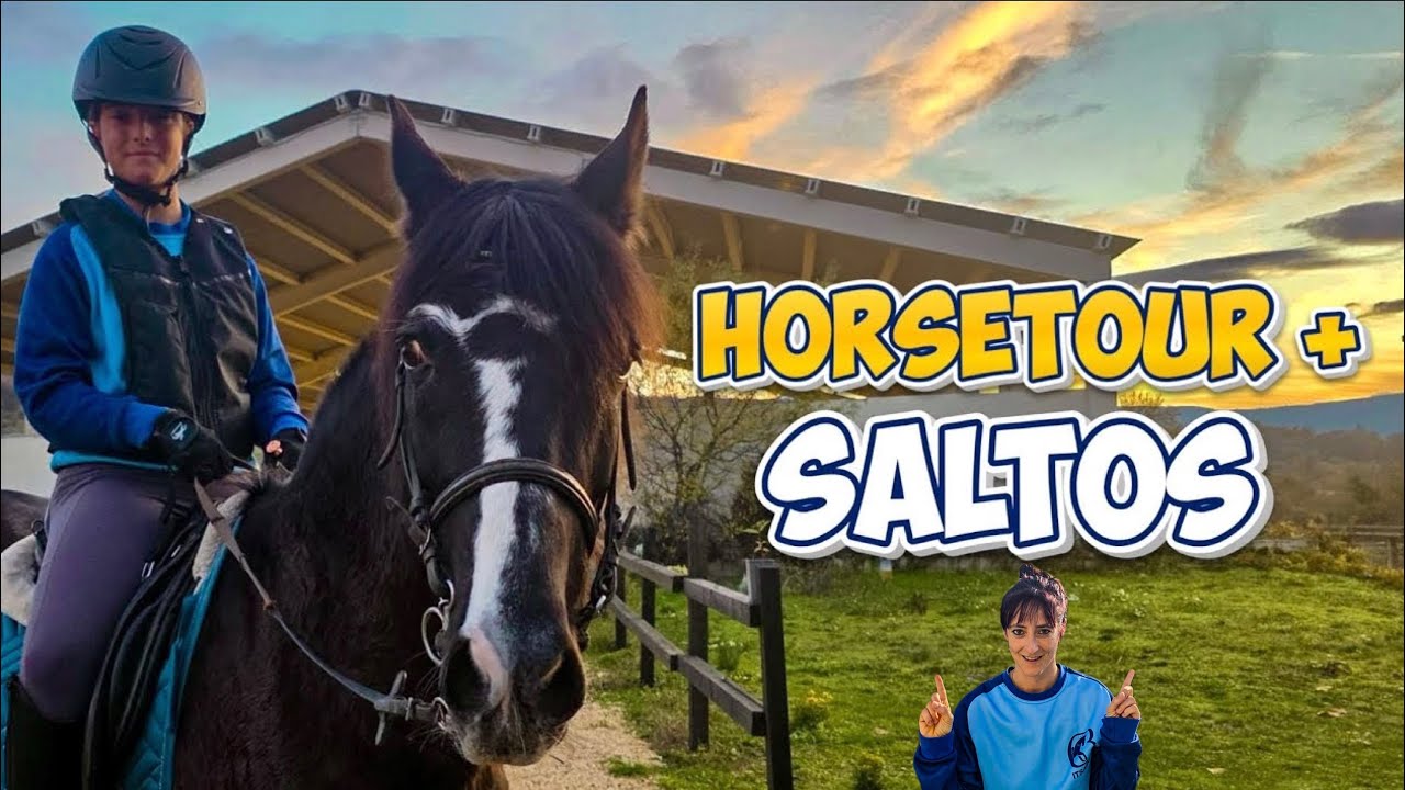 Hípica Tour + clase con Almanzor, el increíble caballo español tuerto 😍 #equestrian #caballos 