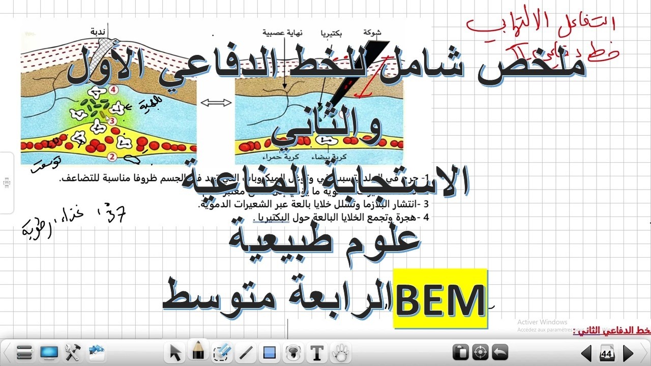 ملخص الخط الدفاعي الأول والثاني: الحواجز الطبيعية والتفاعل الالتهابي علوم طبيعية الرابعة متوسط