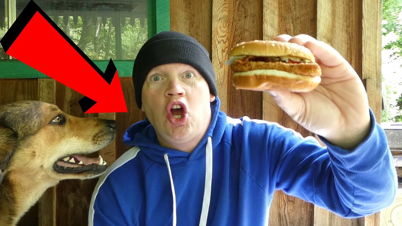 Burger King BLT Chicken Jr 3 for $3  Meal (Reed Reviews)