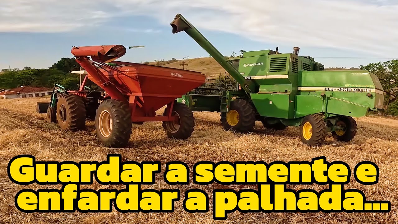 Primeiro dia colhendo aveia pra feno (roçavlog)