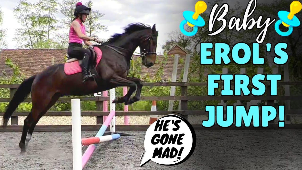 EROL'S FIRST EVER JUMP! | FOUR YEAR OLD MY NEXT TOP HORSE??? || VLOG 66