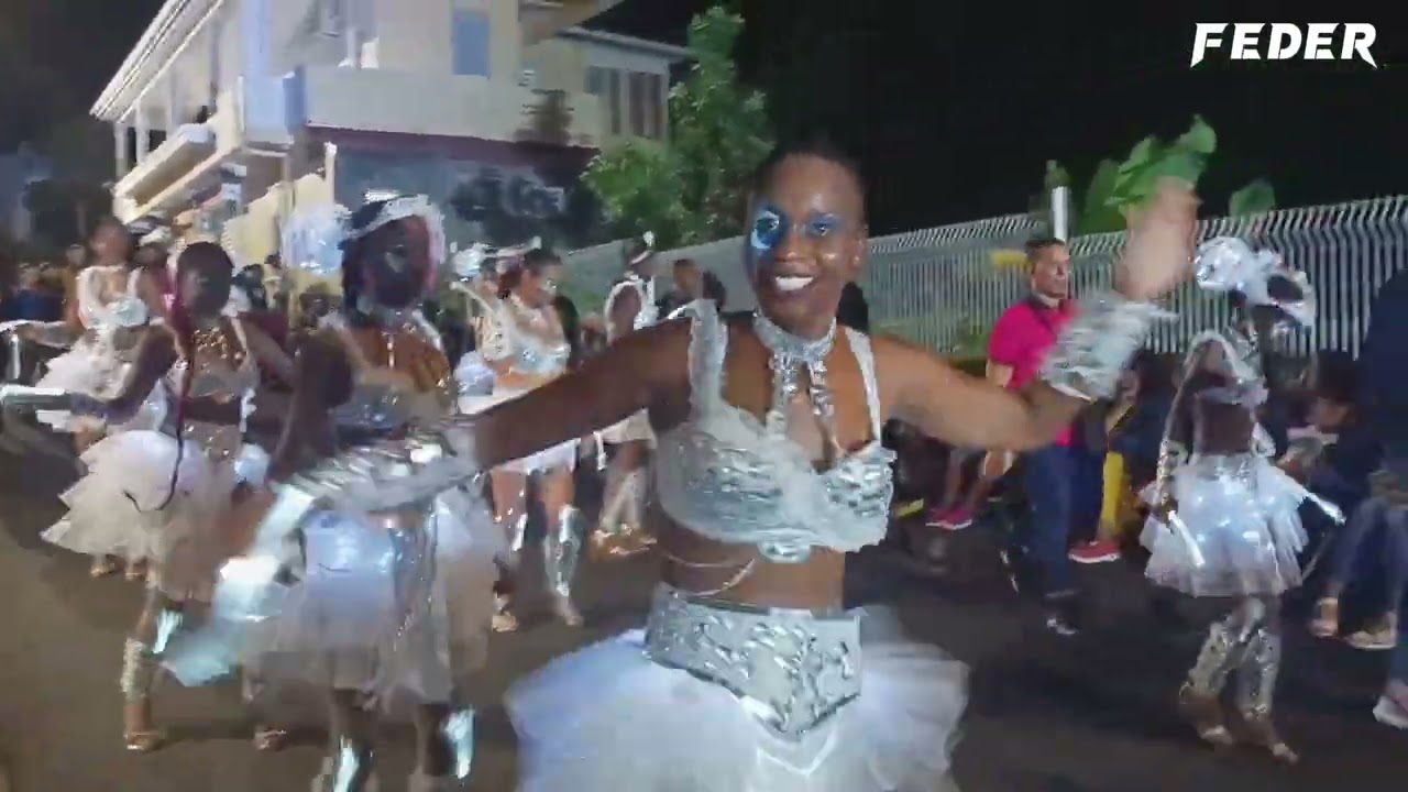 #Carnaval - 🕺Arioka🎉 Ti bwa🎊 Pikan💃 défilé nocturne. Carnaval de la Guadeloupe 👍