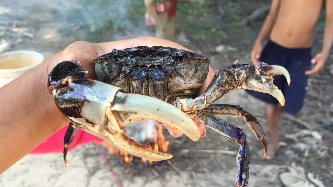 Amazing Children Cooking Crabs In The Village How to catch crabs by using bar hand