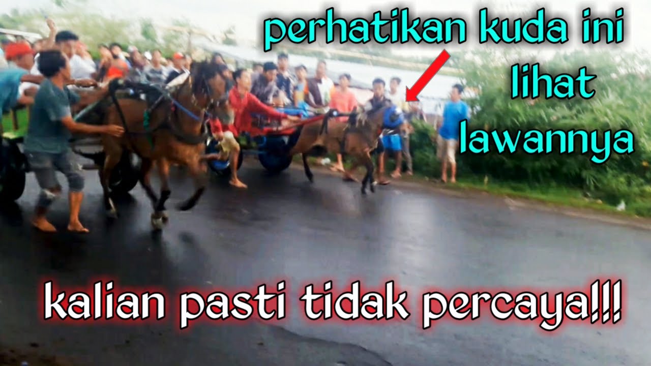 100% kalian akan heran, balap kuda paling Wwooooww!!!