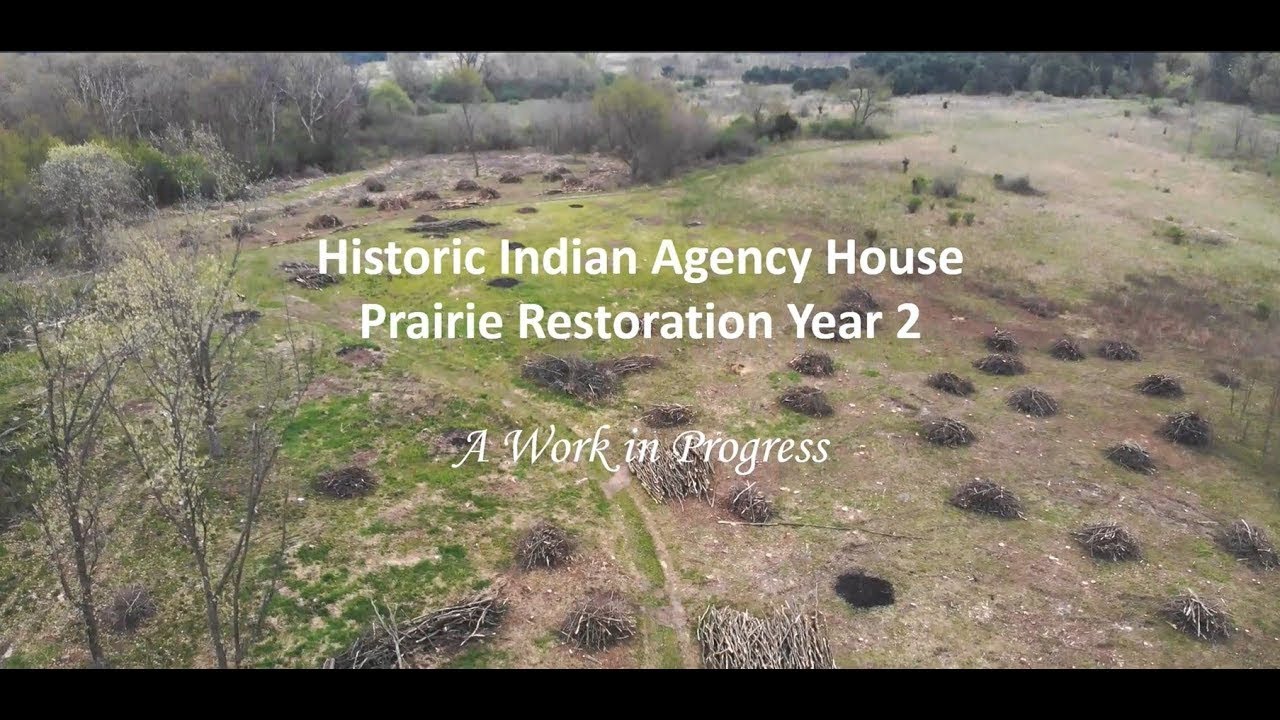 2023 Prairie Restoration, Phase 2 (Nov 2022 - May 2023), HIAH