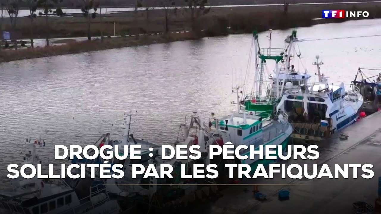 Drogue : des p&ecirc;cheurs sollicit&eacute;s par les trafiquants｜TF1 INFO