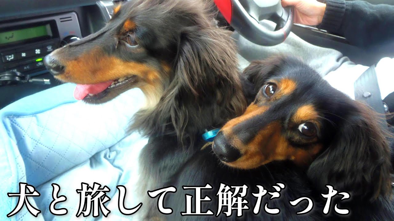 ８泊９日車中泊の旅＃3　道の駅鷹ら島サイコー