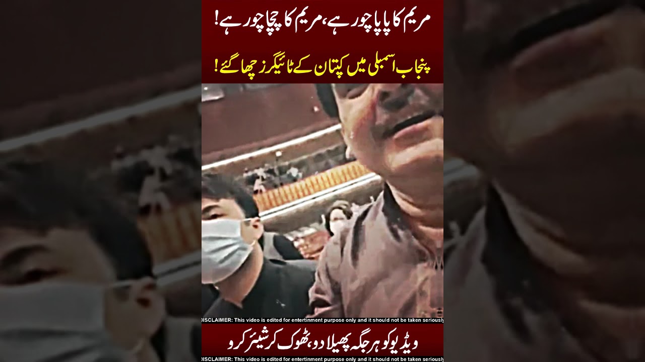 Patwari Vs Ik Lovers 😨😂 Do Shear !!
