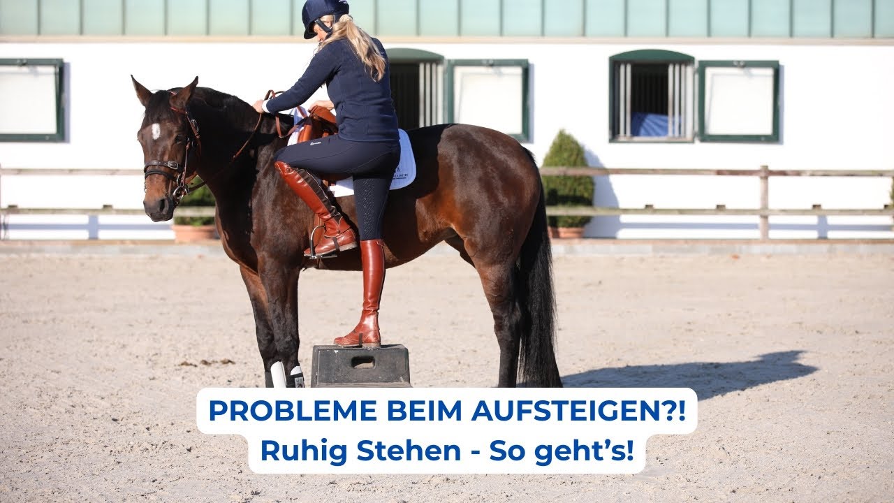 Pferd steht nicht still beim Aufsteigen? So startest du das Training richtig (1/3)
