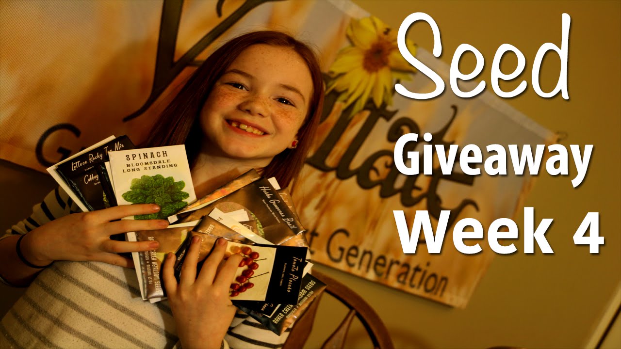 The El Nino Crazy Seed Giveaway Week 4 : Winner Gapeys Grub