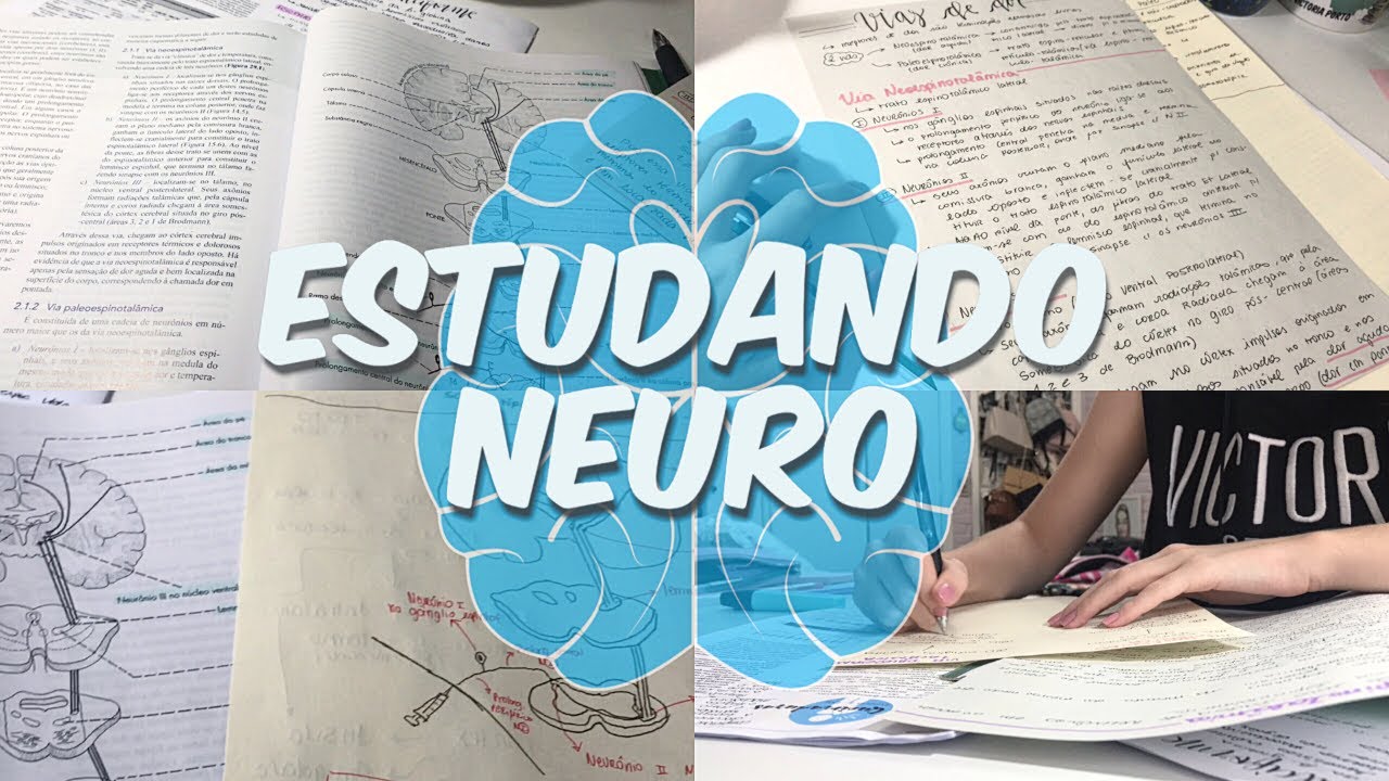 ESTUDANDO NEURO 🧠 📖 - STUDY VLOG | Chiclete Violeta