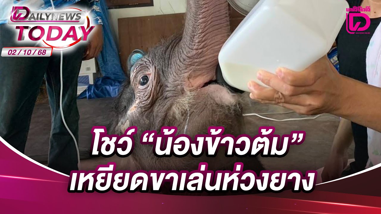 โชว์ 