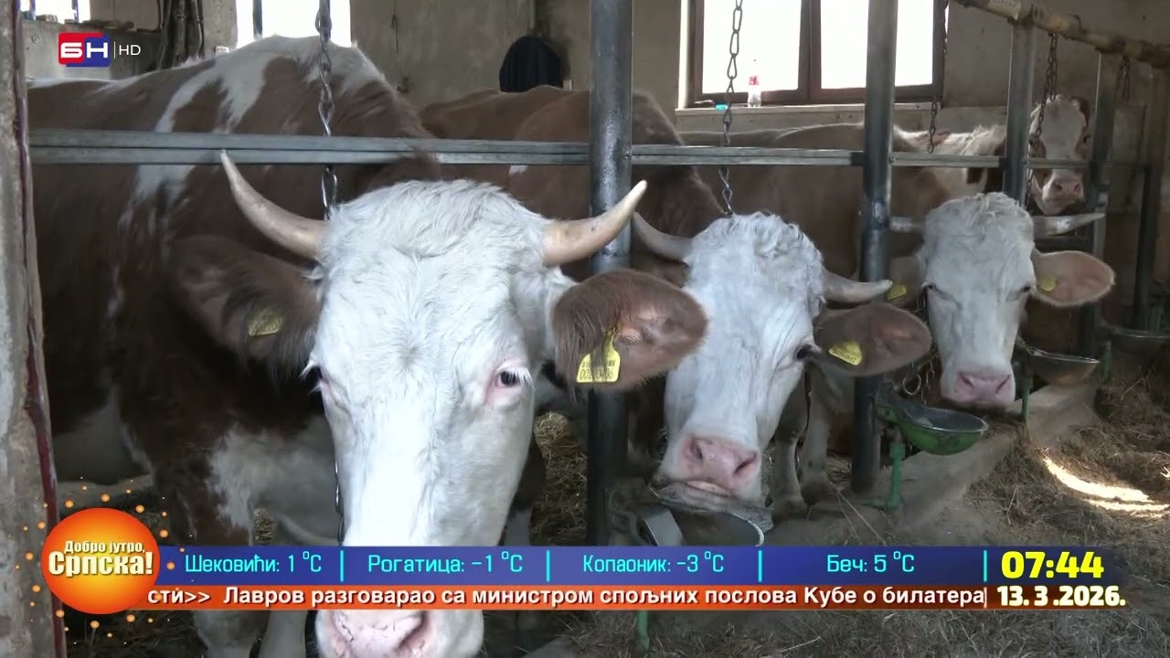 Farma Horozović iz sela Fajtovaca kod Sanskog Mosta