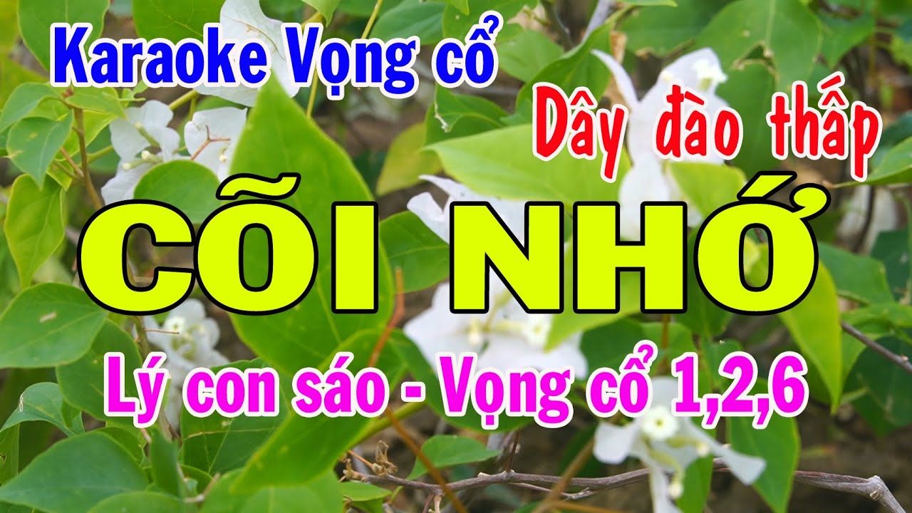 Karaoke vọng cổ CÕI NHỚ - DÂY ĐÀO THẤP