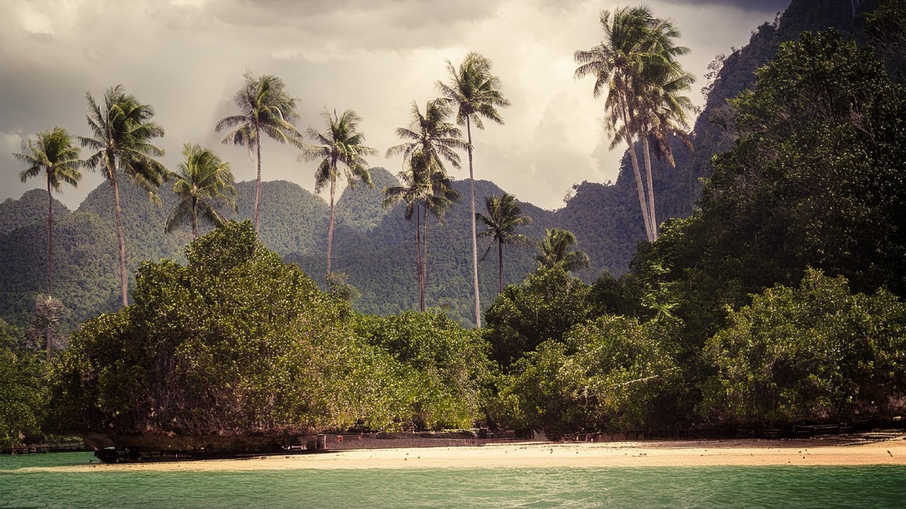 Reggae Chillwave &ndash; NLSN Shores | Time's Got No Time (Instrumental)