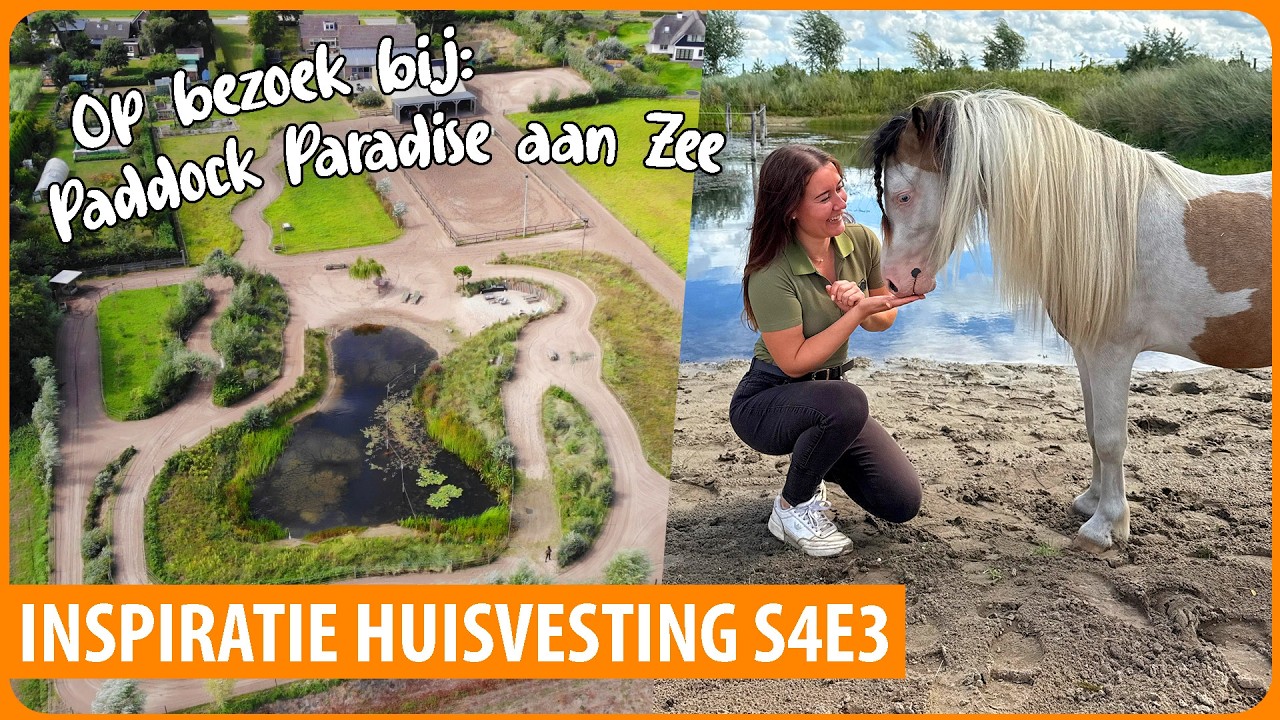 Paddock Paradise aan Zee: Leeftuin voor Mens en Dier! 🐎 Inspiratie Huisvesting S4E3