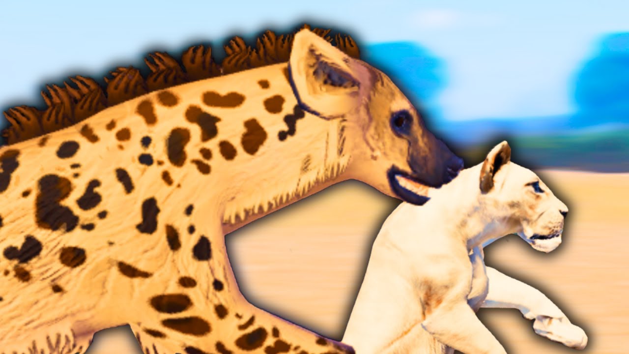 HYENA SNATCHES LION CUBS!! | Eternal Enemies