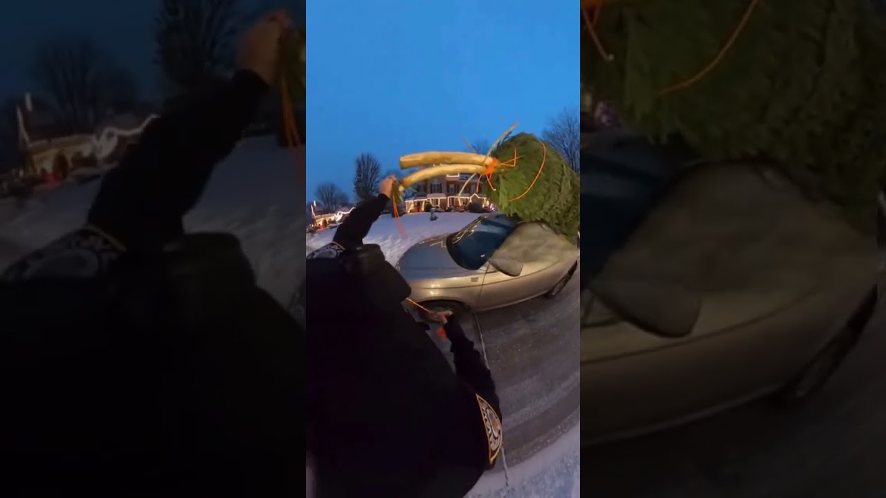 Christmas Tree Road Stop &ndash; Bodycam Real Footage #uspolice #bodycam #usa