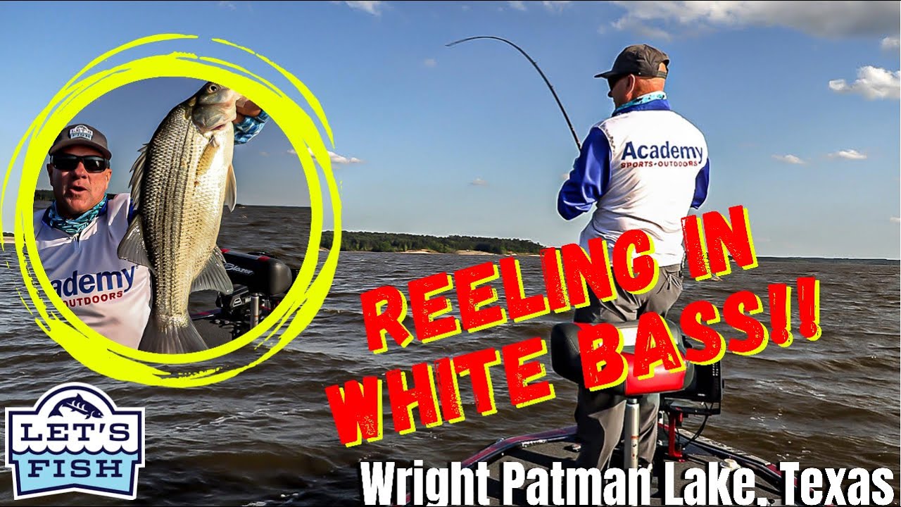 YOU KIDDING? GIANT WHITE BASS AT THIS PLACE? Let's Fish #13-2021 SouthWEST Wright Patman Lake, Texas