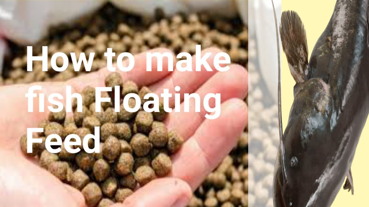 How to make fish Floating Feed Step by step guide