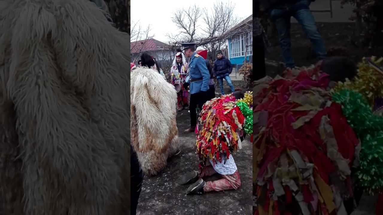 Berbeci din totoești...