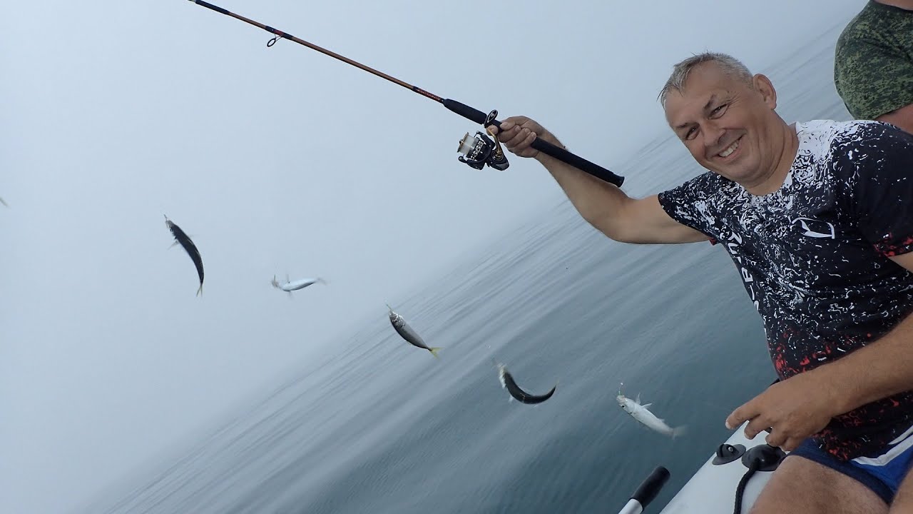 Идём за ставридой. Чёрное море, пос. Солнечногорское, Крым, Россия июнь