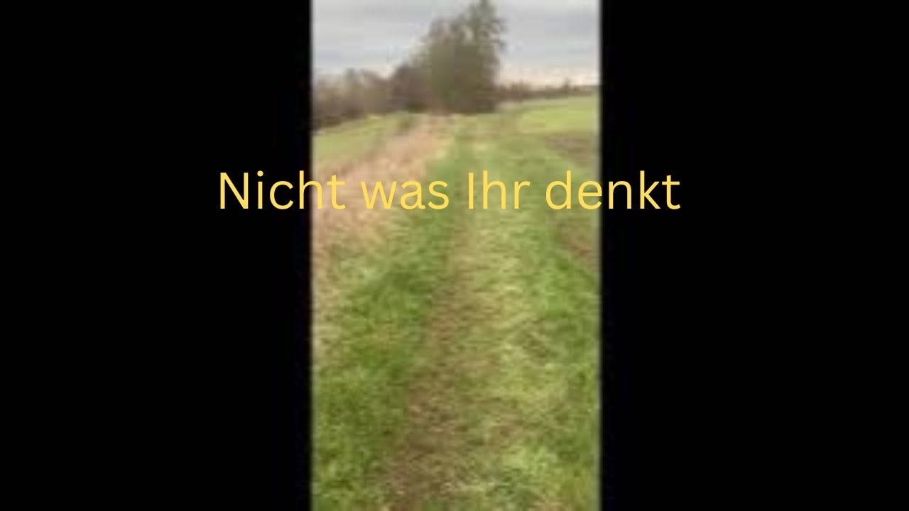 Die Grönland-Krise: Bricht die Nato jetzt auseinander?
