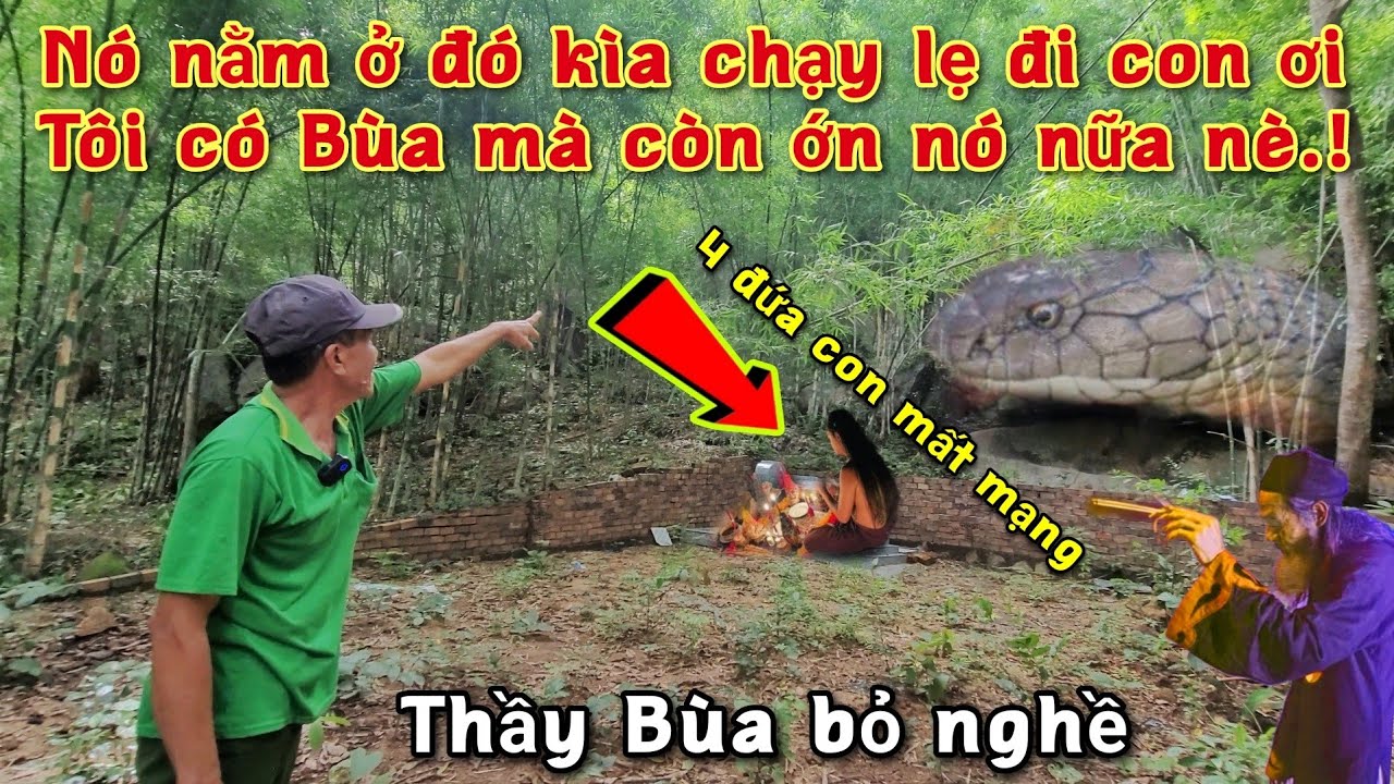 Rắn Hổ Mây Khổng Lồ 