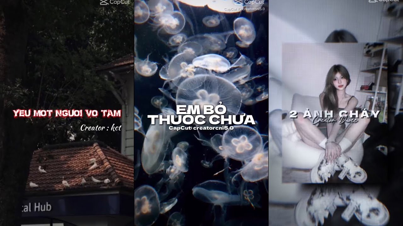#26 Tổng hợp các mẫu Capcut xu hướng thịnh hành hottrend hay nhất 2024!!! Like+Sub ủng hộ mình nha