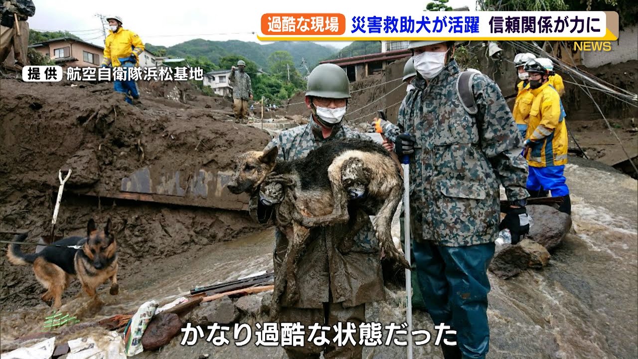 熱海土石流　災害救助犬　過酷な条件下での活躍を支えた隊員との信頼関係（静岡県）【熱海土石流】