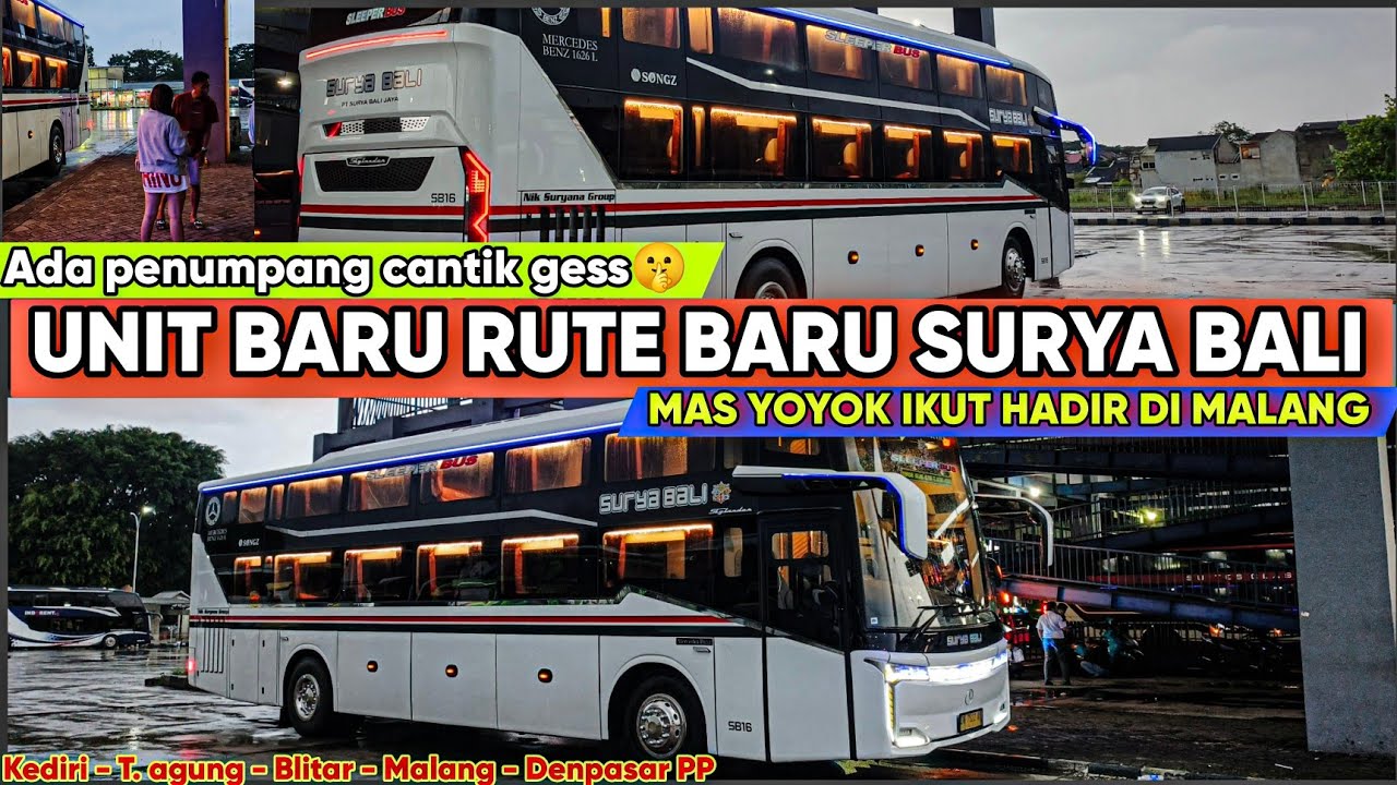 RUTE  BARU SURYA BALI SLEEPER KEDIRI - DENPASAR‼️ADA MAS YOYOK DAN PENUMPANG CANTIK