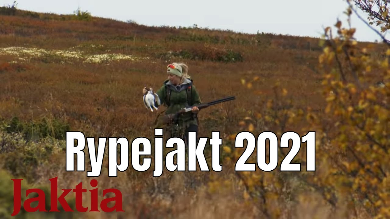 Rypejakt 2021