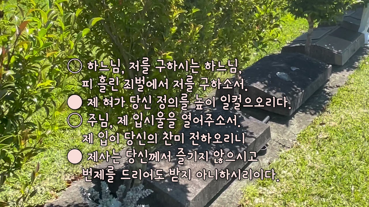 짧은 연도입니다. 창으로 하는 연도가 아닙니다.기도문 처럼 읽습니다. 자막 포함.