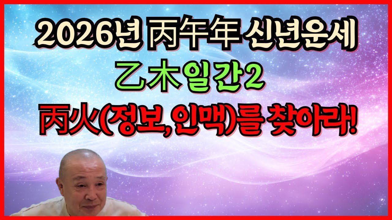2026년 丙午年 신년운세 乙木일간 운세2 丙火(정보,인맥)을 찾아라!