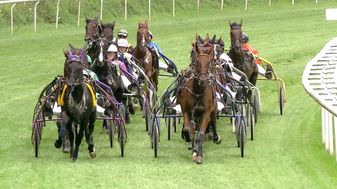 Pferderennen Aarau 3. Renntag 4.9.2016, 3. Rennen