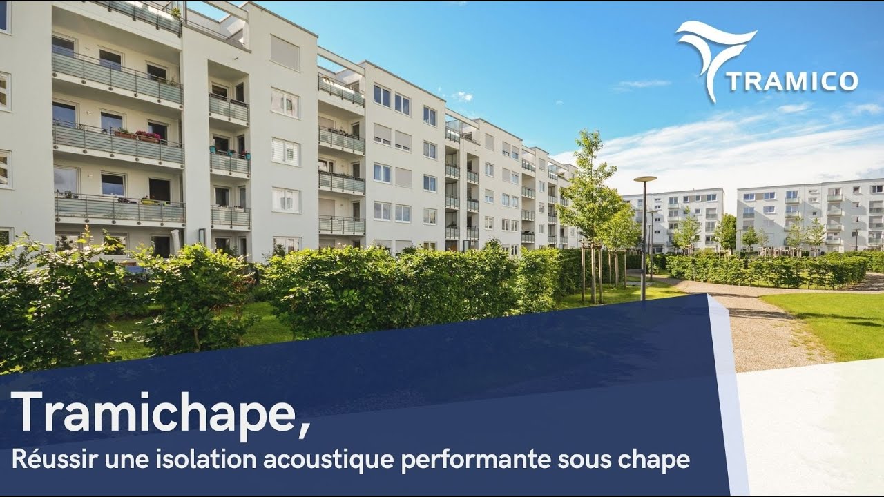 Webinar TRAMICHAPE 
