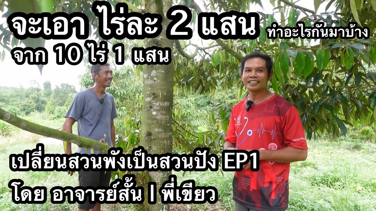 เปลี่ยนสวนพังเป็นสวนปัง EP1 รื้อระบบดูแล 6 เดือน ตั้งเป้าหมายในใจแรก ไร่ละ 2 แสน | อาจารย์สั้น