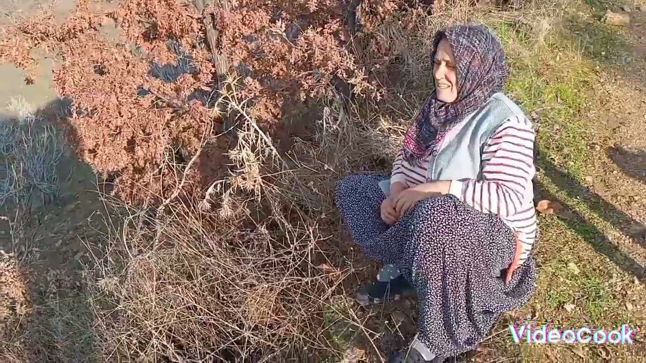 İNCİR KESTANE ZEYTİN BAHÇELERİNİ SİZLER İÇİN GÖRÜNTÜLEDİM