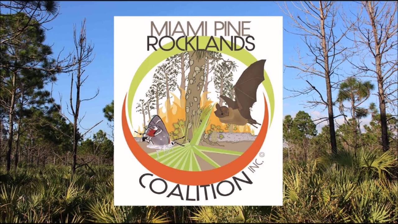 Miami Pine Rocklands Coalition - Love the Everglades Summer Symposium 2016