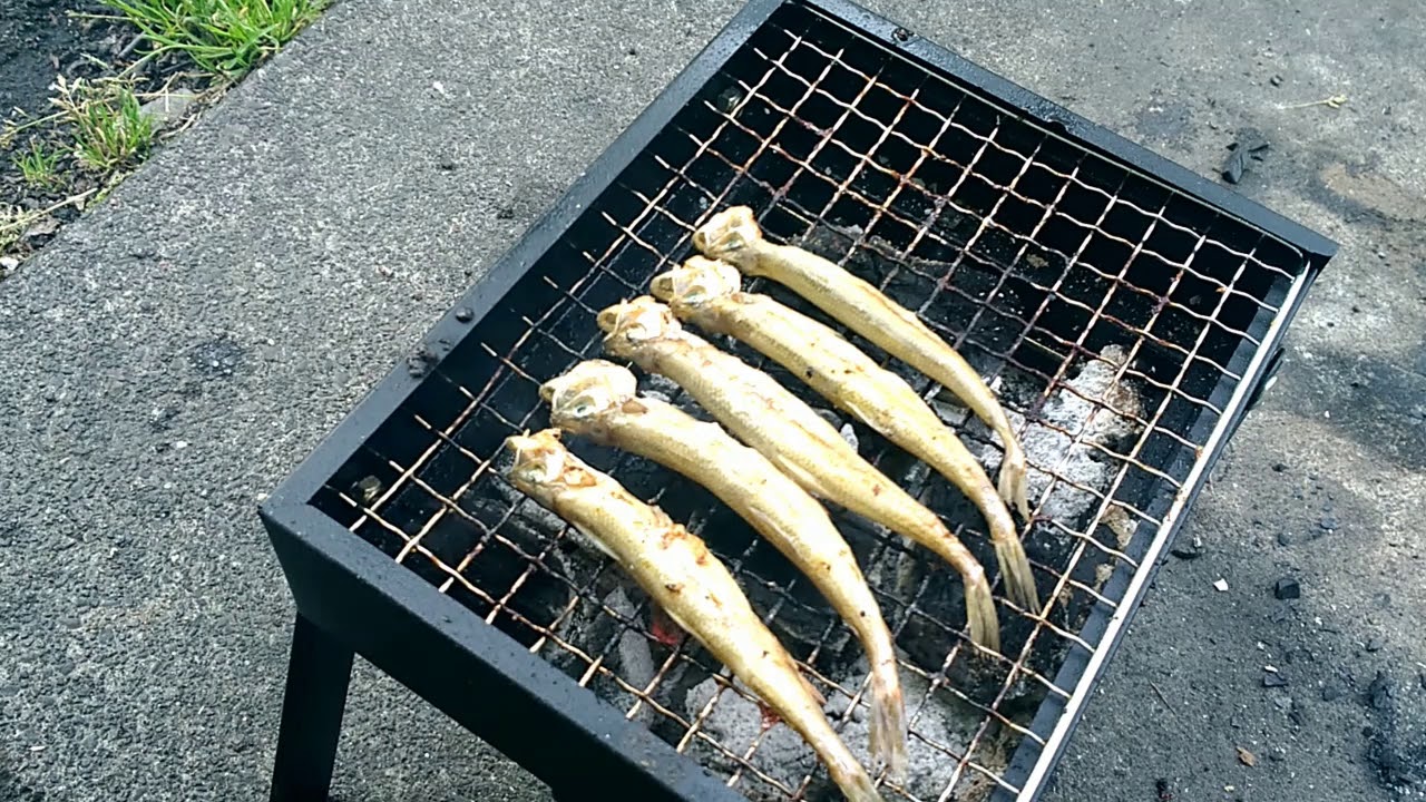 ホーマックDCMソロ用BBQコンロとミニ焚火台で大人の火遊び(WIBERTA)
