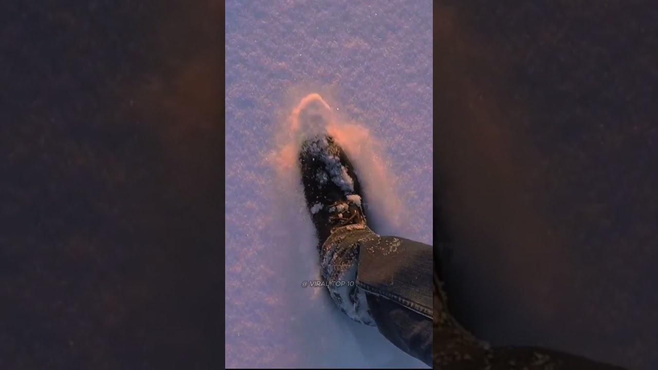 Embrace the Stillness: The Beauty of Snow ❄️✨ 
