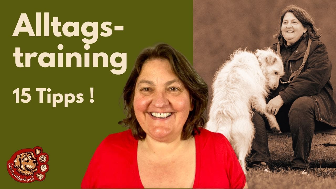 Alltagstraining mit deinem Hund - 15 Tipps, die du beachten solltest.