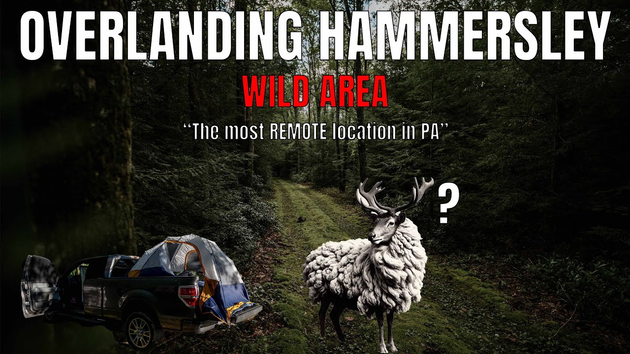 Overlanding Hammersley Wild Area | The Most REMOTE location in PA